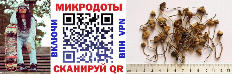 Галлюциногенные грибы Psilocybine cubensis  купить закладку  Урай 